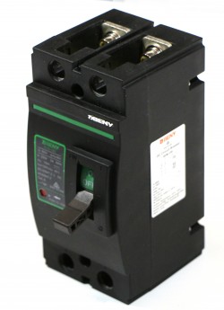 BDM-250 2P 500V 250A