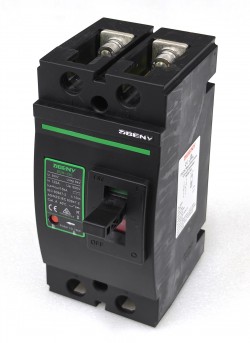 BDM-250 2P 500V 125A
