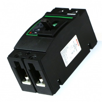 BDM-250 2P 500V 175A